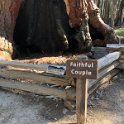 images/bike_usa_2019/giorno09-sequoie/D11BF912-AB74-42B8-A357-80726F77C143_1_105_c-thumb.jpeg