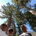 images/bike_usa_2019/giorno09-sequoie/D16D8718-7CAA-4330-BA24-5B25C675BBB0_1_105_c-thumb.jpeg