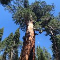 images/bike_usa_2019/giorno09-sequoie/D34E9D9A-EC81-40C3-8446-FA0C98E85705_1_105_c-thumb.jpeg