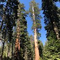 images/bike_usa_2019/giorno09-sequoie/D3A9C305-955C-4221-A455-A1E13FCEE973_1_105_c-thumb.jpeg