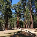 images/bike_usa_2019/giorno09-sequoie/D409F280-8C8C-4160-AA6D-46F1C5A04F23_1_105_c-thumb.jpeg