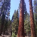 images/bike_usa_2019/giorno09-sequoie/D4A36A91-744A-47B3-8E6F-D1AA5C72B025_1_105_c-thumb.jpeg