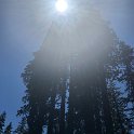 images/bike_usa_2019/giorno09-sequoie/DAFBC90A-E199-408F-89D8-CB6DACED9779_1_105_c-thumb.jpeg