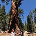 images/bike_usa_2019/giorno09-sequoie/E0785FD2-8A9E-4898-B148-522030E5ED9D_1_105_c-thumb.jpeg