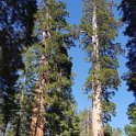 images/bike_usa_2019/giorno09-sequoie/E224A2B2-05CC-4939-BE6B-4ABE53815772_1_105_c-thumb.jpeg