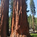 images/bike_usa_2019/giorno09-sequoie/E3A5E2F8-72E2-4C47-BE42-8EEADA70B3EA_1_105_c-thumb.jpeg