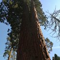 images/bike_usa_2019/giorno09-sequoie/E7FFB2F1-340A-4B02-A9D4-049D71CADBD5_1_105_c-thumb.jpeg