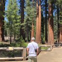 images/bike_usa_2019/giorno09-sequoie/EA632677-49D3-44B9-869F-19FFBAFA5CFB_1_105_c-thumb.jpeg