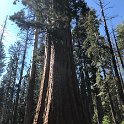 images/bike_usa_2019/giorno09-sequoie/EC8CC2BD-62C2-4FDA-B49B-1DD0B7972424_1_105_c-thumb.jpeg