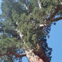 images/bike_usa_2019/giorno09-sequoie/EF004893-49AE-4949-86F0-BC81122F449C_1_105_c-thumb.jpeg