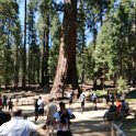 images/bike_usa_2019/giorno09-sequoie/EF22C95A-9B0F-4D47-A3FE-5B863F97A7CD_1_105_c-thumb.jpeg