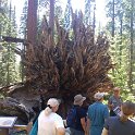 images/bike_usa_2019/giorno09-sequoie/F5AF7FB4-7F19-4641-8D06-C2B63E145CAD_1_105_c-thumb.jpeg