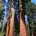 images/bike_usa_2019/giorno09-sequoie/FABB2610-11A4-4311-A5A8-50D0A82884D5_1_105_c-thumb.jpeg