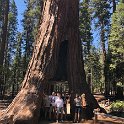 images/bike_usa_2019/giorno09-sequoie/FB8CDA02-52E4-4700-86F4-6F395F2C81AE_1_105_c-thumb.jpeg