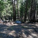 images/bike_usa_2019/giorno09-sequoie/FBC0DBF9-7554-4758-83F7-62F84EFE1C59_1_105_c-thumb.jpeg